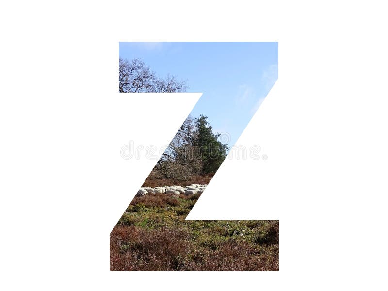 Letter Z of the alphabet made with a herd of sheep in the heather and a blue sky, with colors brown, white, beige, blue and green, isolated on a white background. Letter Z of the alphabet made with a herd of sheep in the heather and a blue sky, with colors brown, white, beige, blue and green, isolated on a white background