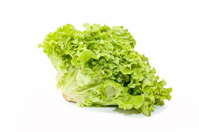 Lettuce