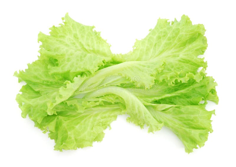 Lettuce royalty free stock photos