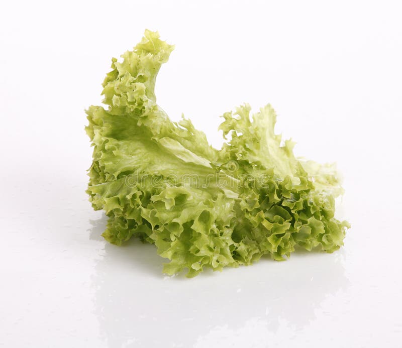 Lettuce