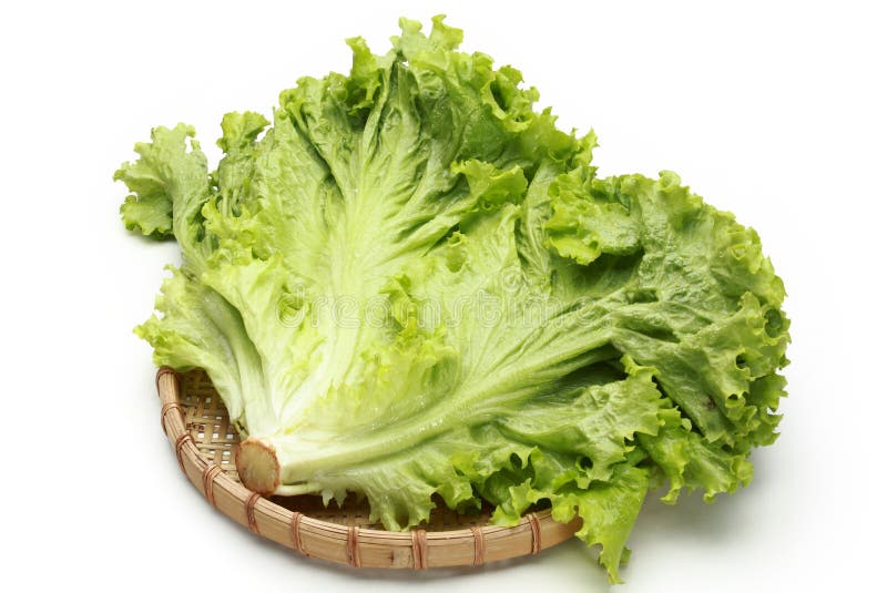 Lettuce