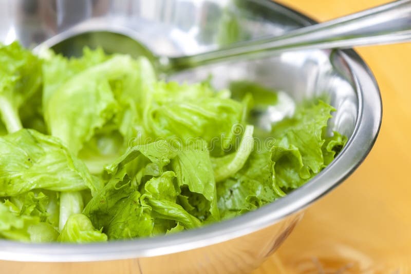 Lettuce In Bowl Stock Image Image Of Still Meal Gastronomy 208333981