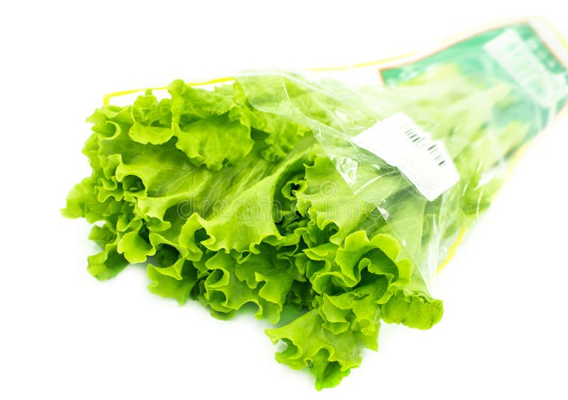 Lettuce stock photo. Image of gastronomy, bunch, lettuce 123940134