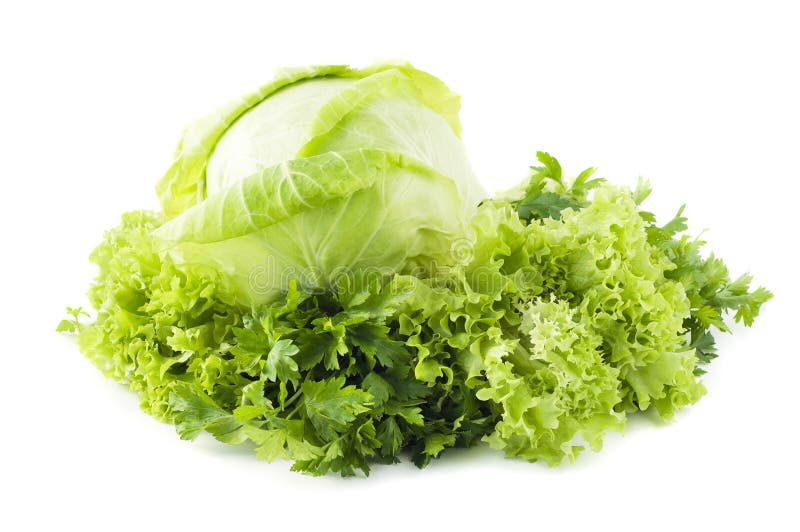Lettuce, Cabbage &parsley Stock Photo - Image of asia, nutrition: 17907456