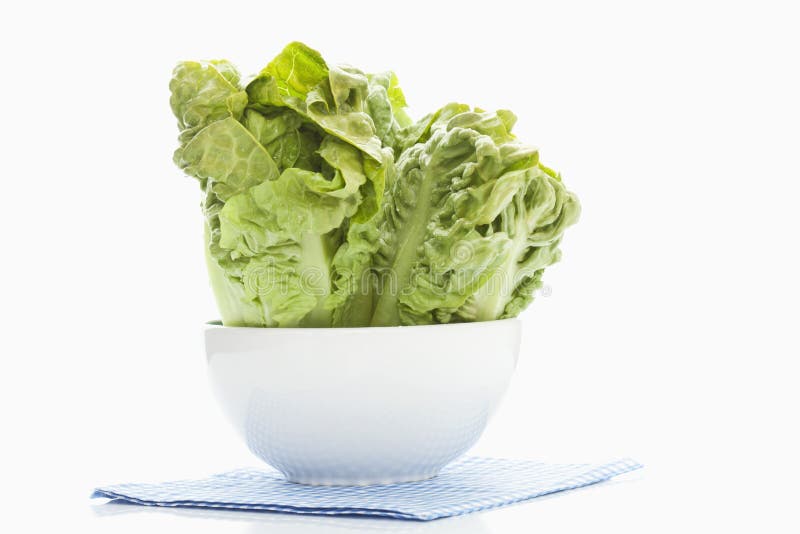 Lettuce hearts salad stock image. Image of plate, restaurant 32969207