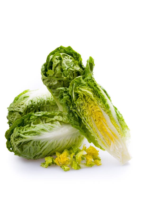 Lettuce hearts isolated stock photo. Image of rosso, hearts 50997846