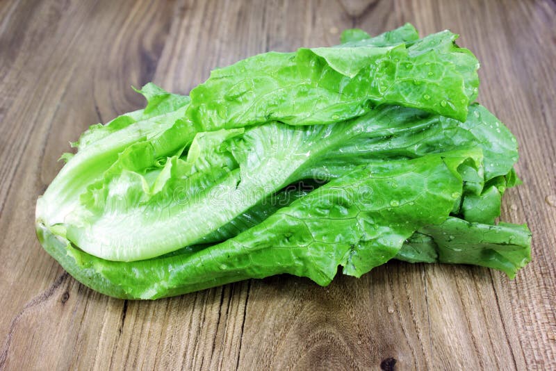 Romaine Lettuce stock photo. Image of lettuce, starter 11990896