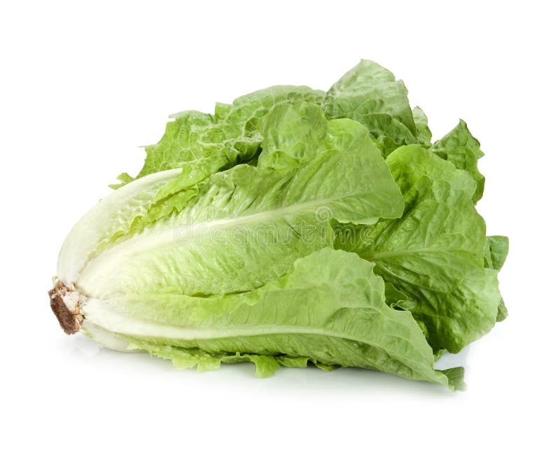 Lettuce isolated