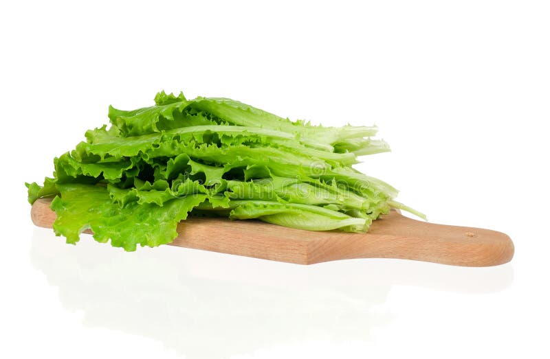 Lettuce leaves stock photo. Image of closeup, meal, cook 27418440