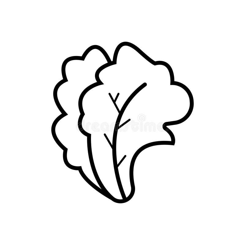 Lettuce Solid Icon, Vegetable and Salad Leaf, Vector Graphics, a Glyph