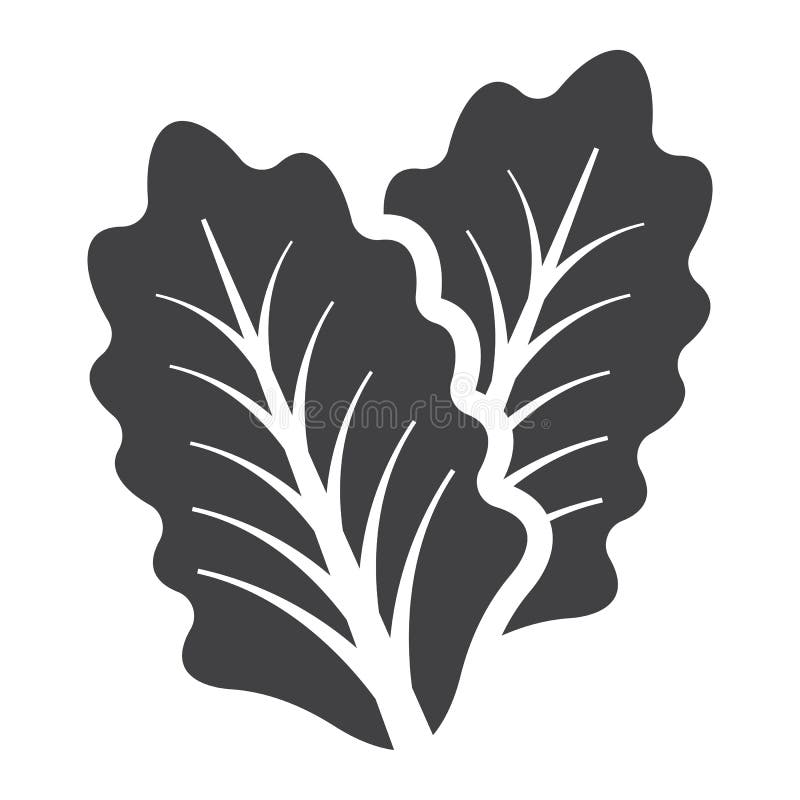Lettuce solid icon, vegetable and salad leaf royalty free illustration Lettuce solid icon, vegetable and salad leaf royalty free illustration