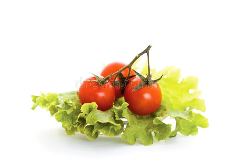 Lettuce and tomato stock photo. Image of ripe, healthy 13220252
