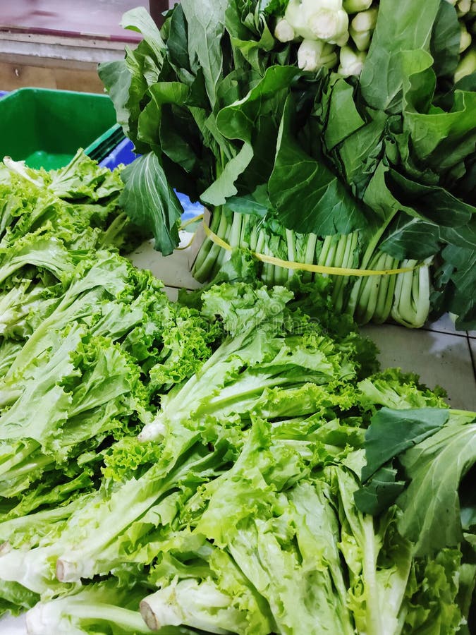 Lettuce in Traditional Market Stock Photo Image of market, plant 248838416