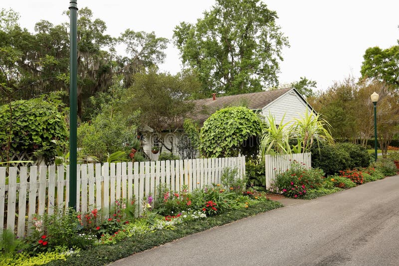 Vegetable Plants On A Cottage Garden Stock Image Image Of Health