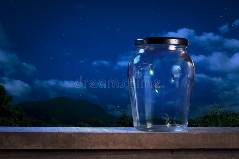 Leuchtkäfer in einem Glas nachts stockbild Leuchtkäfer in einem Glas nachts stockbild