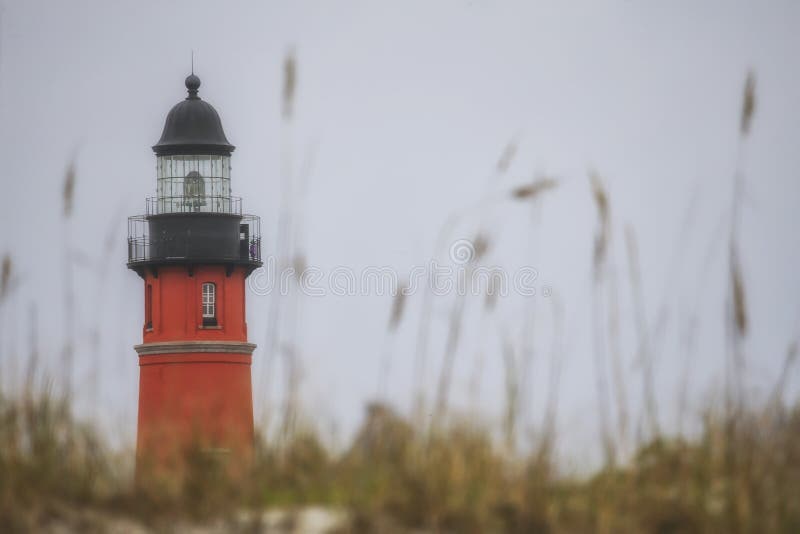 Leuchtturm hinter Seehafern in Florida stockfotografie Leuchtturm hinter Seehafern in Florida stockfotografie