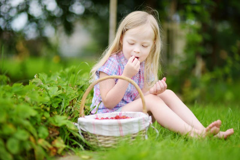 Cute little girl picking fresh wild strawberries on organic strawberry farm on warm and sunny summer day. Cute little girl picking fresh wild strawberries on organic strawberry farm on warm and sunny summer day