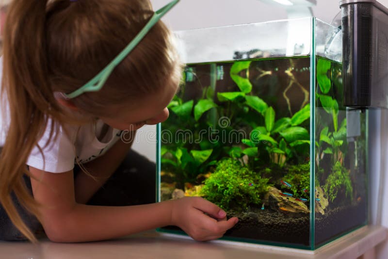 Leuk meisje die vissen in aquarium bekijken royalty-vrije stock afbeeldingen Leuk meisje die vissen in aquarium bekijken royalty-vrije stock afbeeldingen
