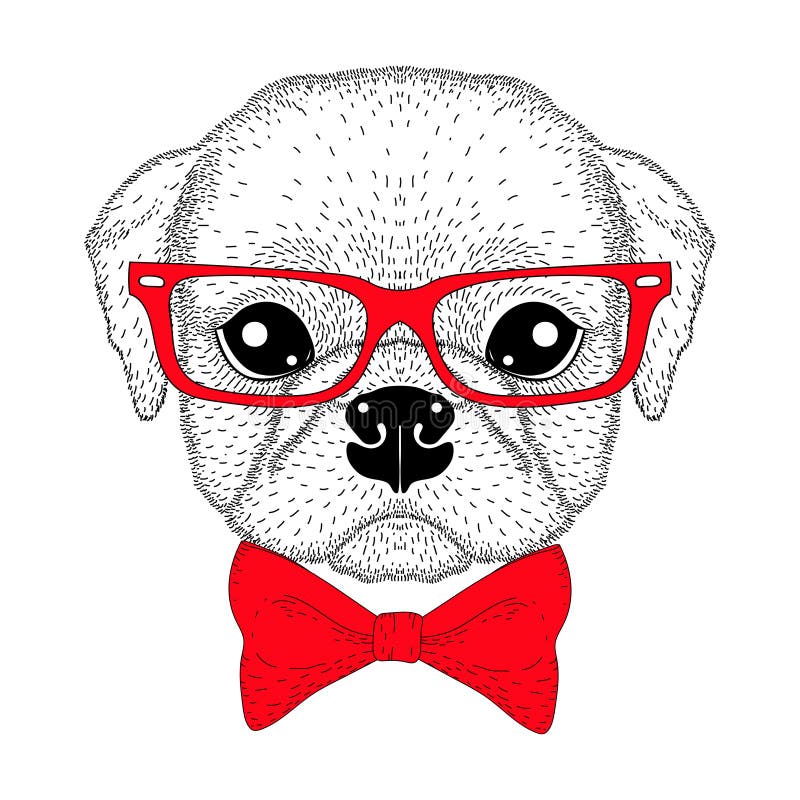 Leuk pug jongensportret met vlinderdas, hipster glazen Getrokken hand stock illustratie Leuk pug jongensportret met vlinderdas, hipster glazen Getrokken hand stock illustratie