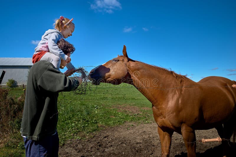 Leuk weinig babymeisje die een groot paard op een boerderij in de herfst voeden stock foto's Leuk weinig babymeisje die een groot paard op een boerderij in de herfst voeden stock foto's