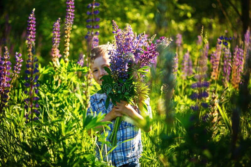 Leuk weinig jongen, die bloemen in zonnige de lentedag houden stock foto's Leuk weinig jongen, die bloemen in zonnige de lentedag houden stock foto's