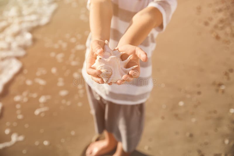 Leuk weinig jongen met overzeese shell op strand, close-up royalty-vrije stock afbeeldingen Leuk weinig jongen met overzeese shell op strand, close-up royalty-vrije stock afbeeldingen