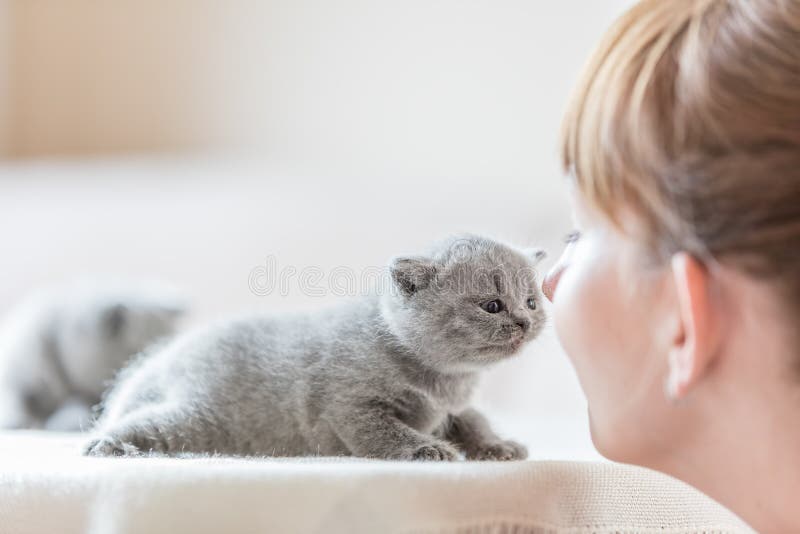 Leuk weinig kat en vrouw die neuzen wrijven stock foto Leuk weinig kat en vrouw die neuzen wrijven stock foto