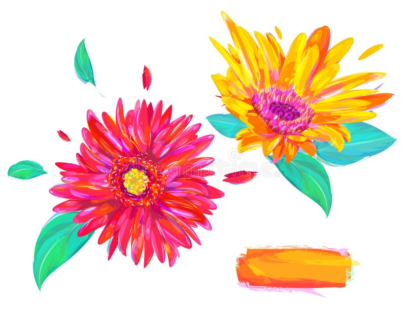 De schattige gerbera op witte achtergrond royalty-vrije illustratie