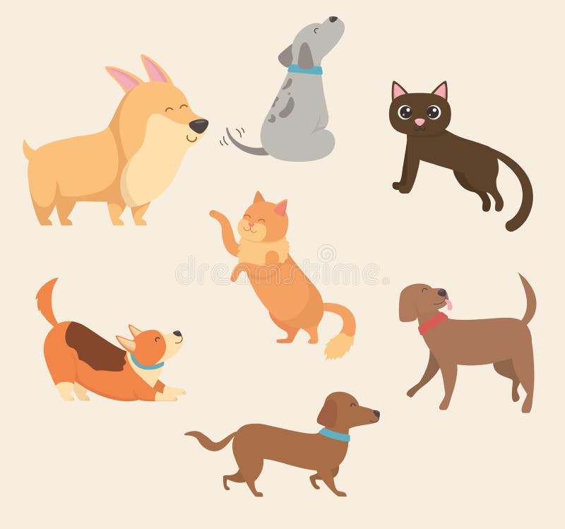 Cute little dogs and cats mascots characters vector illustration design. Cute little dogs and cats mascots characters vector illustration design