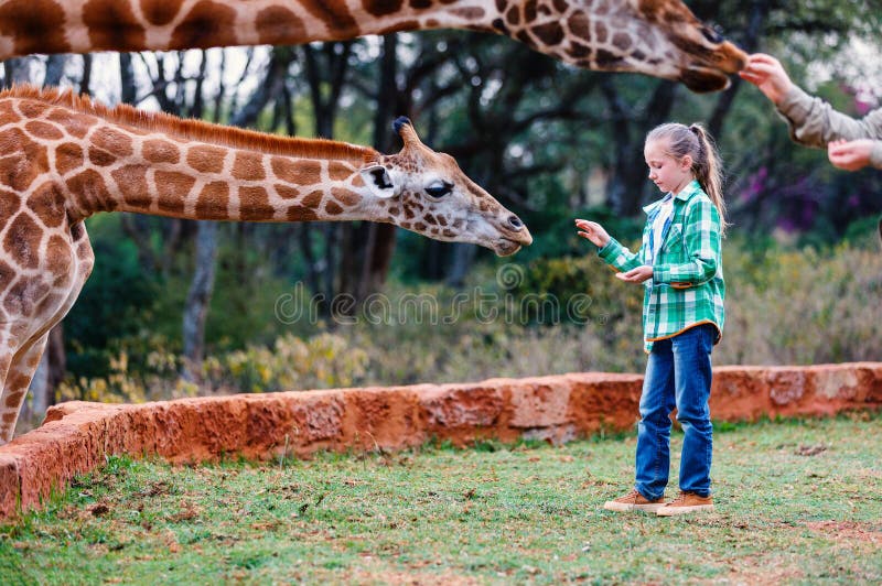 Leuke meisje voedende giraffen in Kenia stock foto Leuke meisje voedende giraffen in Kenia stock foto