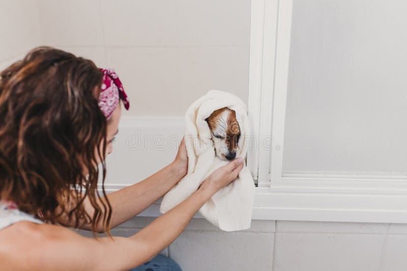 Leuke mooie kleine hond nat in badkuip Jonge vrouweneigenaar die haar krijgen thuis schone hond Witte achtergrond royalty-vrije stock afbeeldingen Leuke mooie kleine hond nat in badkuip Jonge vrouweneigenaar die haar krijgen thuis schone hond Witte achtergrond royalty-vrije stock afbeeldingen