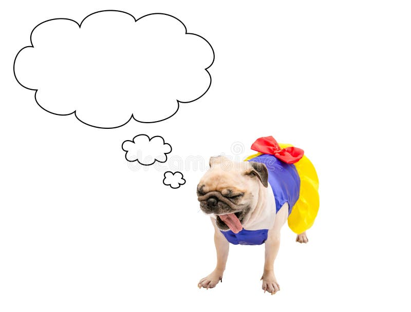 Leuke Pug Hond met de lege wolkenbel boven haar die hoofd, op wit met kostuum met het Knippen van weg op Hond wordt geïsoleerd stock afbeeldingen Leuke Pug Hond met de lege wolkenbel boven haar die hoofd, op wit met kostuum met het Knippen van weg op Hond wordt geïsoleerd stock afbeeldingen