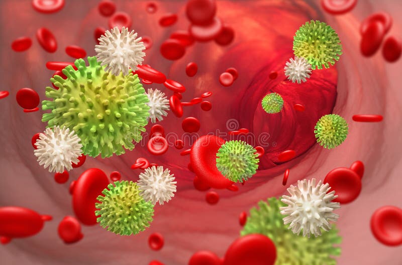 Leukocytes attack the viral infection in the blood vector illustration Leukocytes attack the viral infection in the blood vector illustration