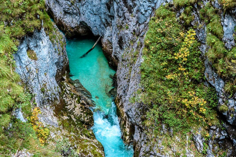 Leutaschklamm - dziki w? w? z z rzek? w alps Niemcy zdjęcie royalty free