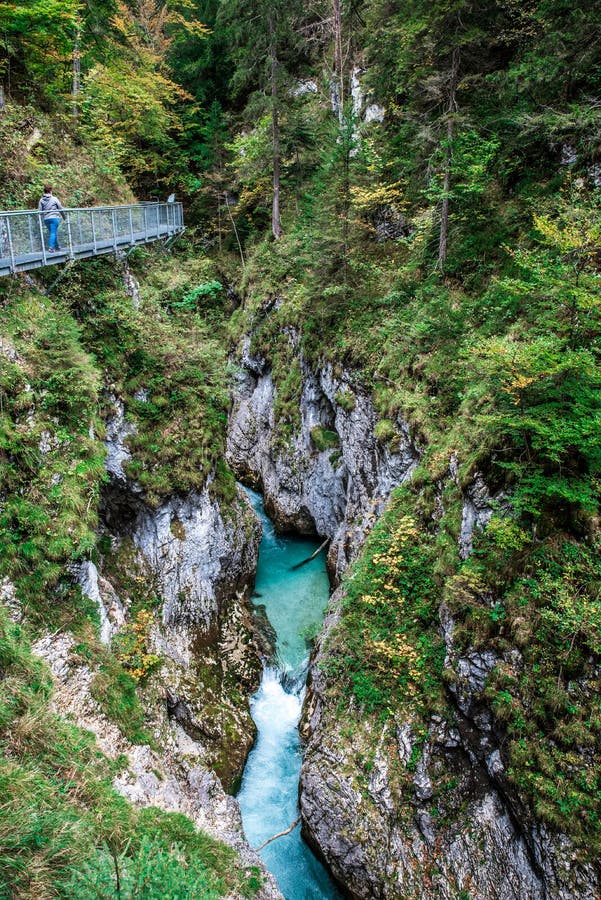 Leutaschklamm - dziki w? w? z z rzek? w alps Niemcy zdjęcie royalty free