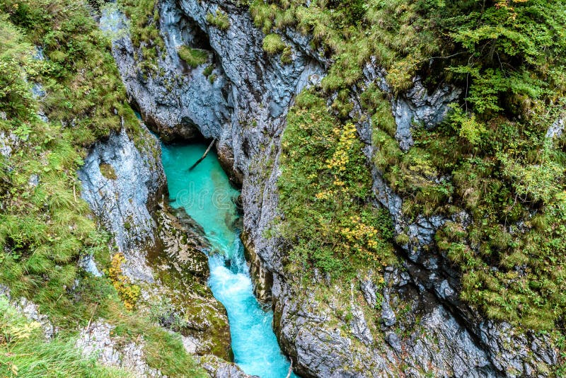Leutaschklamm - dziki w? w? z z rzek? w alps Niemcy zdjęcia stock