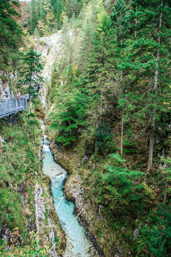 Leutaschklamm - dziki w? w? z z rzek? w alps Niemcy zdjęcia stock