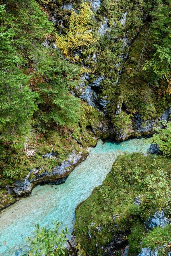 Leutaschklamm - dziki w? w? z z rzek? w alps Niemcy zdjęcia stock