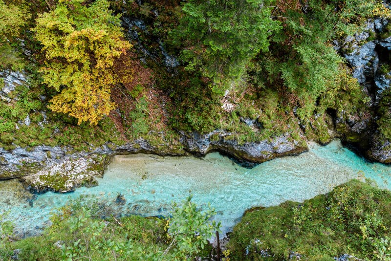 Leutaschklamm - dziki w? w? z z rzek? w alps Niemcy zdjęcie royalty free