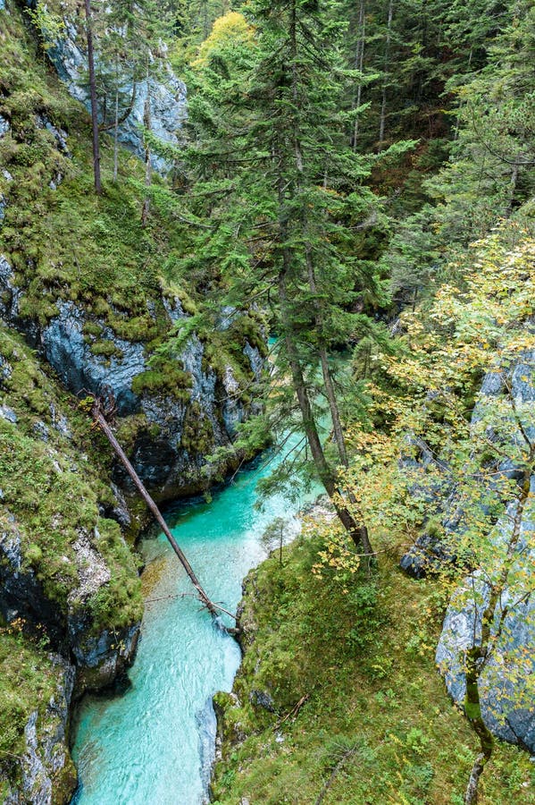 Leutaschklamm - dziki w? w? z z rzek? w alps Niemcy obraz royalty free