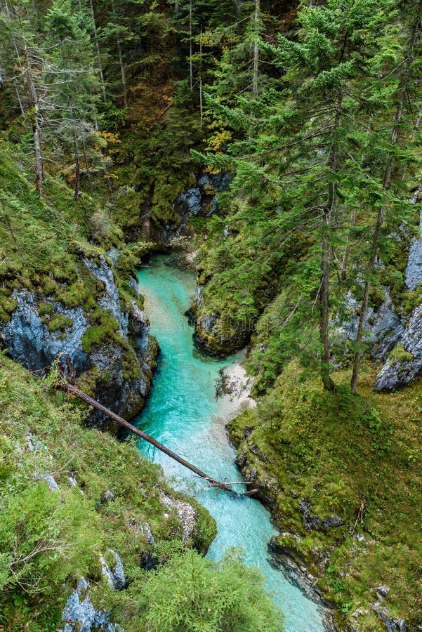 Leutaschklamm - dziki w? w? z z rzek? w alps Niemcy zdjęcia stock