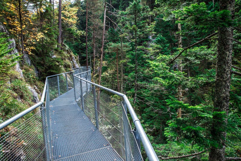 Leutaschklamm - dziki w? w? z z rzek? w alps Niemcy obraz stock