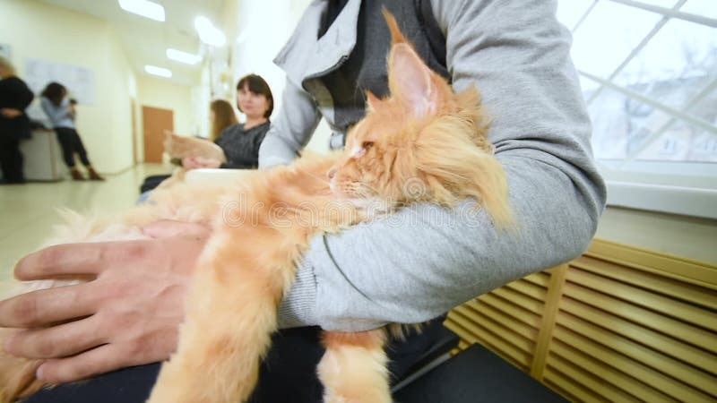 Leute mit ihren Haustieren warten auf eine ärztliche Untersuchung an der Veterinärklinik Tiergesundheit