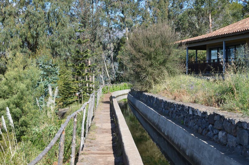 Levada dos托诺斯：Camacha的Monte，灌溉运河的类型，马德拉岛，葡萄牙