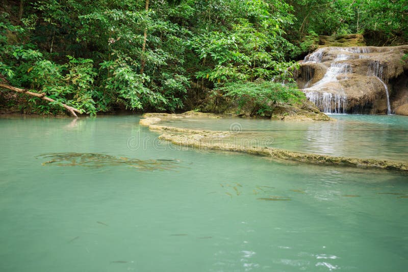 Level 1 of Erawan Waterfall with Neolissochilus Stracheyi Fish I Stock ...