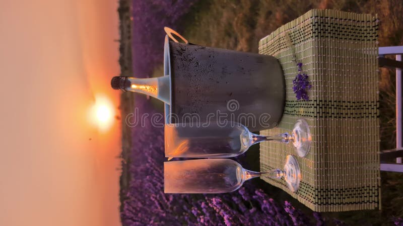 Lever de champagne dans un champ de lavande. vidéo verticale banque de vidéos