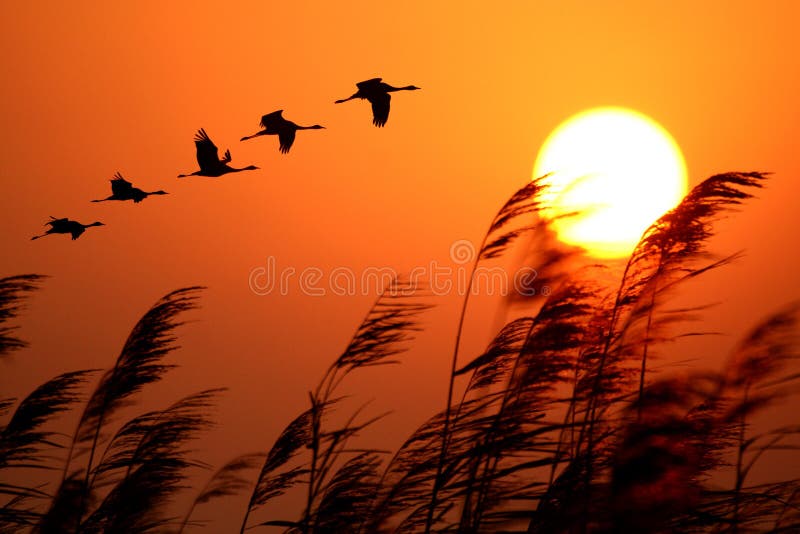 Lever de soleil photos stock Lever de soleil photos stock