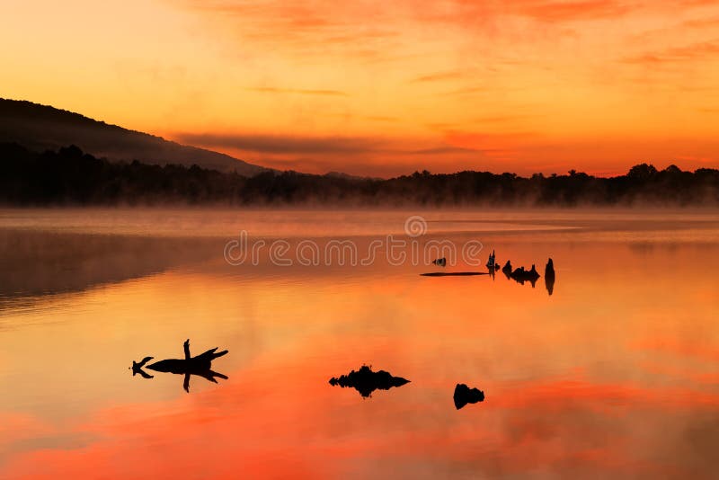 Lever de soleil brumeux au lac image libre de droits Lever de soleil brumeux au lac image libre de droits