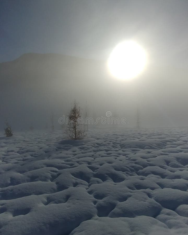 Lever de soleil dans la neige images libres de droits Lever de soleil dans la neige images libres de droits