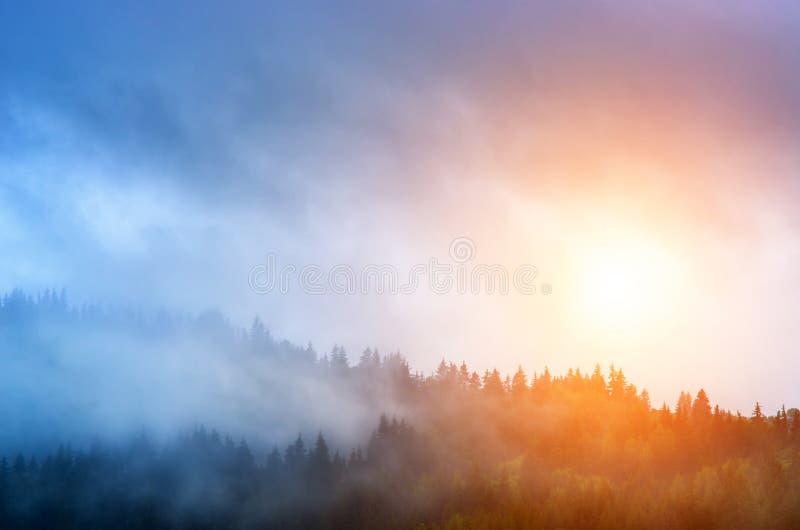 Lever de soleil et brume au-dessus de la forêt de pin dans les montagnes image stock Lever de soleil et brume au-dessus de la forêt de pin dans les montagnes image stock